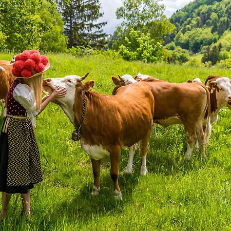 Feriendomizil Am Roessleberg,
