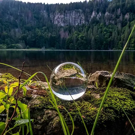 Tatil Evi Feriendomizil Am Roessleberg, Hinterzarten