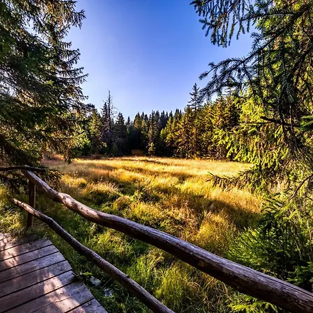 Feriendomizil Am Rössleberg, * Hinterzarten