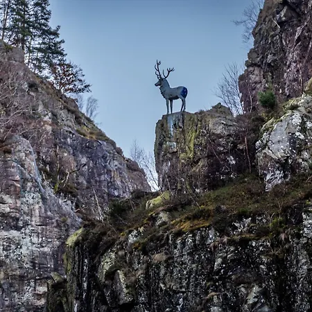 Feriendomizil Am Roessleberg, Tatil Evi